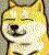 :doge16: